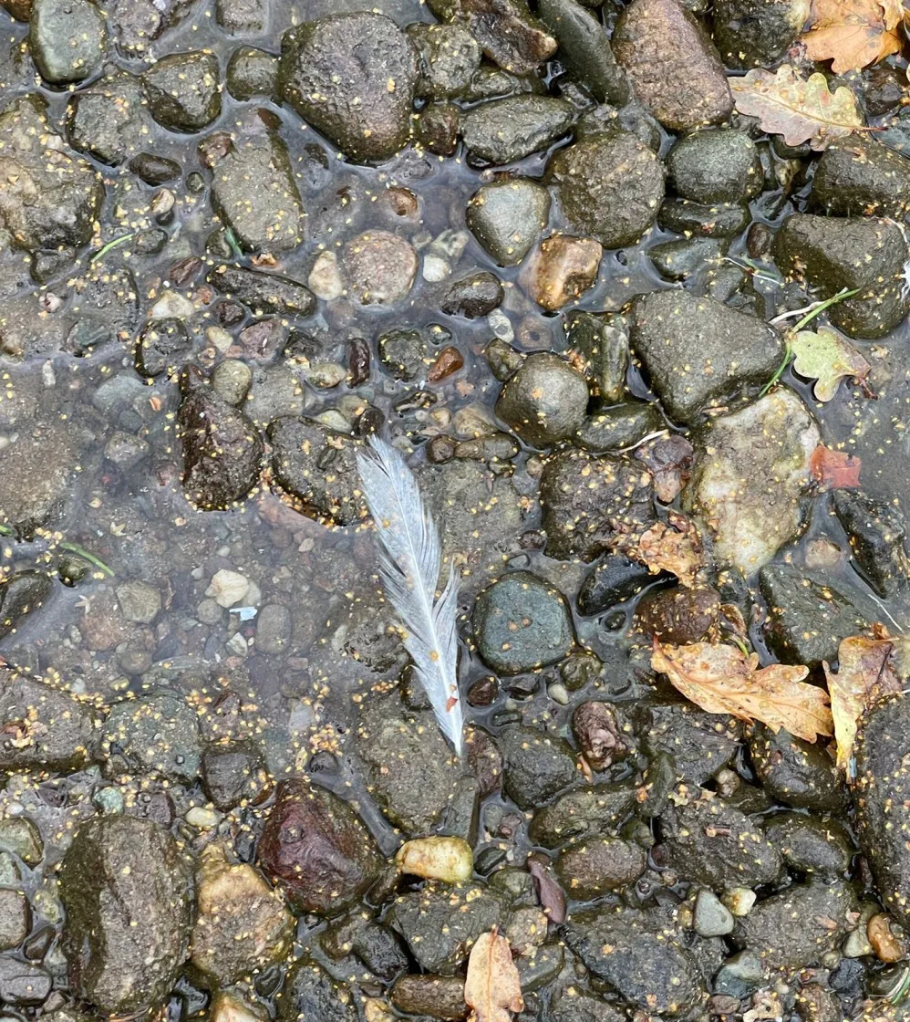 Cate Reid Ceremonies - River stones